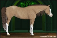 Horse Color:Classic Champagne Splash 