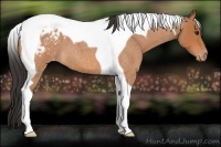 Horse Color:Bay Roan Tobiano Varnish 