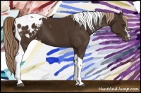 Horse Color:Liver Chestnut Tobiano Appaloosa