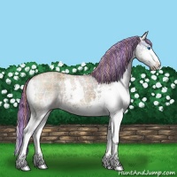 Horse Color:Painted Plaid Liver Red Dun Ice Sabino Splash