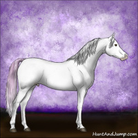 Horse Color:Watercolor Red Dun Near Leopard Rabicano 