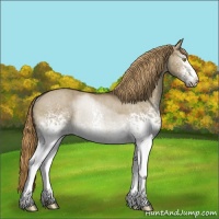 Horse Color:White Spotted Liver Red Dun Sabino Rabicano Brindle 