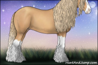 Horse Color:Gold Champagne Splash 