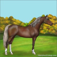 Horse Color:Silver Brown 