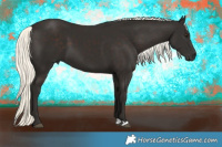 Horse Color:Liver Chestnut Mushroom 