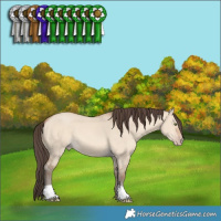 Horse Color:Amber Champagne Dun