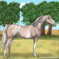 Horse Color:White Spotted Silver Sable Champagne Mushroom 