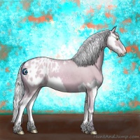 Horse Color:Watercolor Silver Classic Champagne Dun Splash Frame Appaloosa 