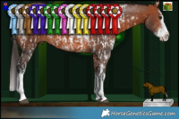 Horse Color:Bay Sabino Splash and White Spotted Bay Splash