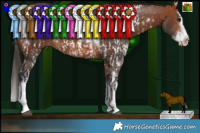 Horse Color:Bay Sabino Splash  and White Spotted Bay Splash 