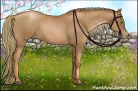 Horse Color:Liver Chestnut Pearl 