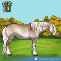 Horse Color:Red Dun Onyx Mushroom Splash 