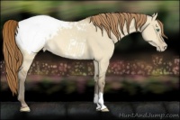 Horse Color:Sable Cream Champagne Dun Snowcap