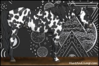 Horse Color:Black Near Leopard 