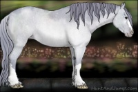 Horse Color:Watercolor Blue Roan Appaloosa Rabicano 