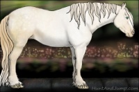 Horse Color:Perlino Roan Varnish 