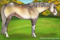 Horse Color:Silver Brown Onyx 