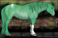 Horse Color:Watercolor Black Varnish Rabicano 