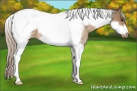 Horse Color:Silver Brown Roan Dun Tobiano Frame Varnish 