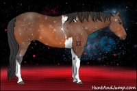 Horse Color:Bay Tobiano 