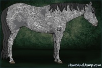 Horse Color:Black Ice 