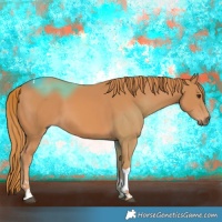 Horse Color:Chestnut Tobiano