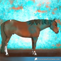 Horse Color:Chestnut Tobiano