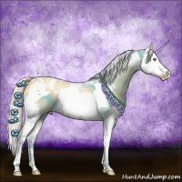 Horse Color:Gold Cream Champagne Dun Splash Tobiano 