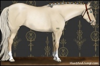 Horse Color:Chocolate Palomino Pearl Dun Rabicano