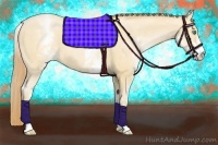 Horse Color:White Spotted Smoky Black Pearl