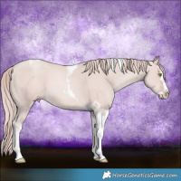 Horse Color:Platinum Gold Champagne Splash Tobiano 