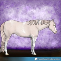 Horse Color:Platinum Gold Champagne Splash Tobiano 