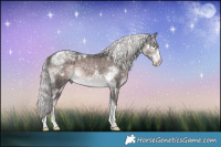 Horse Color:Platinum White Spotted Chocolate Palomino Splash Tobiano Rabicano