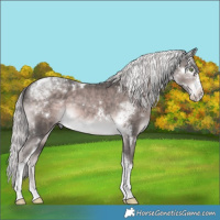 Horse Color:Platinum White Spotted Chocolate Palomino Splash Tobiano Rabicano