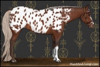 Horse Color:Silver Brown Near Leopard 