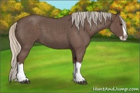 Horse Color:Silver Blue Roan Splash 