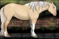 Horse Color:Silver Sable Champagne Dun Tobiano