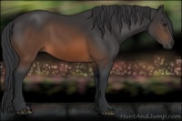 Horse Color:Brown 