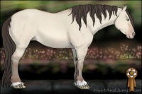 Horse Color:Amber Champagne Dun 