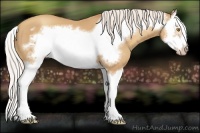 Horse Color:Silver Classic Champagne Splash Frame 