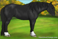 Horse Color:Gray Black 