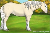 Horse Color:Silver Classic Cream Champagne Dun Splash 