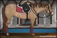 Horse Color:Liver Red Dun 