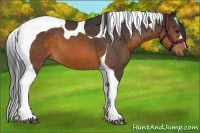 Horse Color:Brown Tobiano 