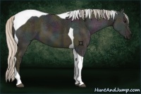 Horse Color:Midnight Silver Grullo Ice Tobiano 