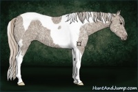 Horse Color:Silver Grullo Ice Tobiano