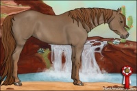 Horse Color:Red Roan