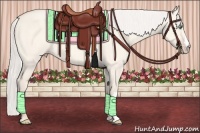 Horse Color:Silver Amber Cream Champagne Dun 