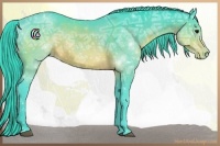 Horse Color:Watercolor Brown Ice Appaloosa 