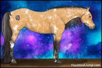 Horse Color:White Spotted Buckskin Ice 